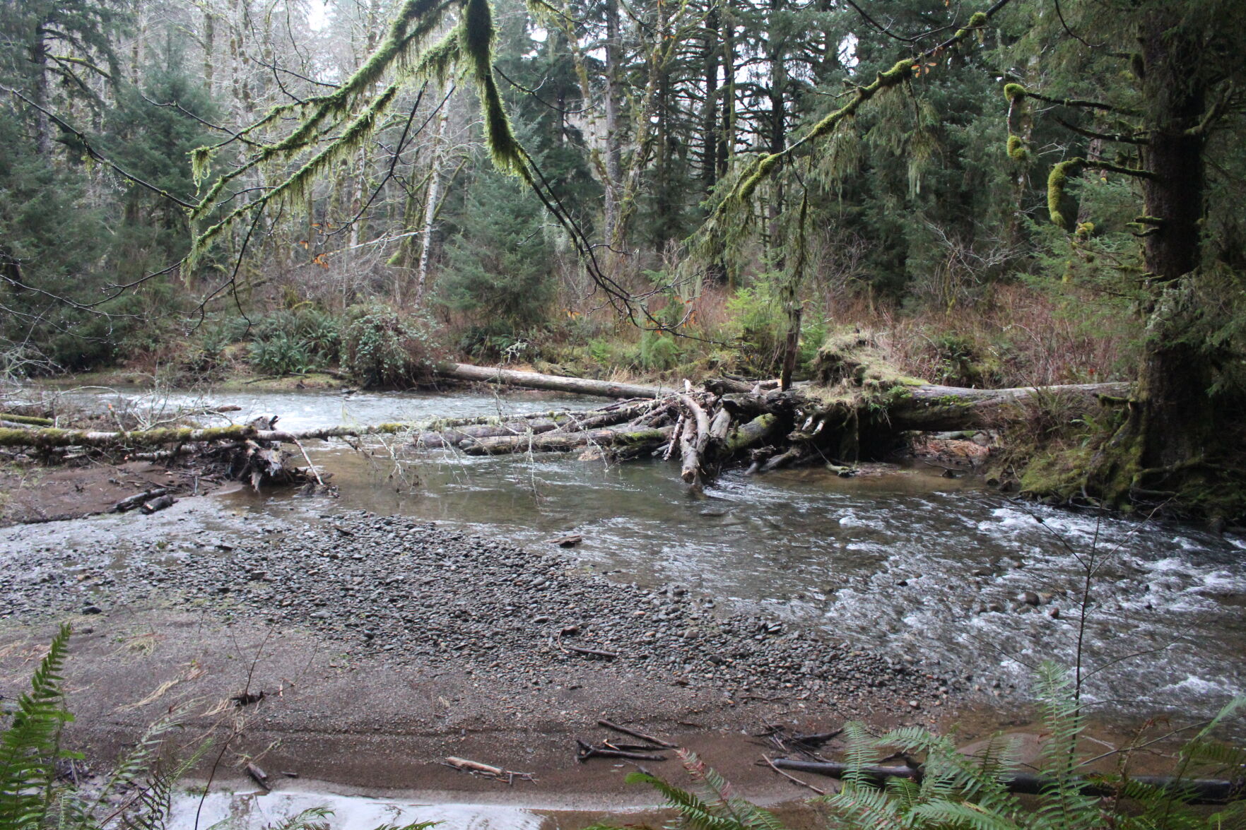 river.JPG
